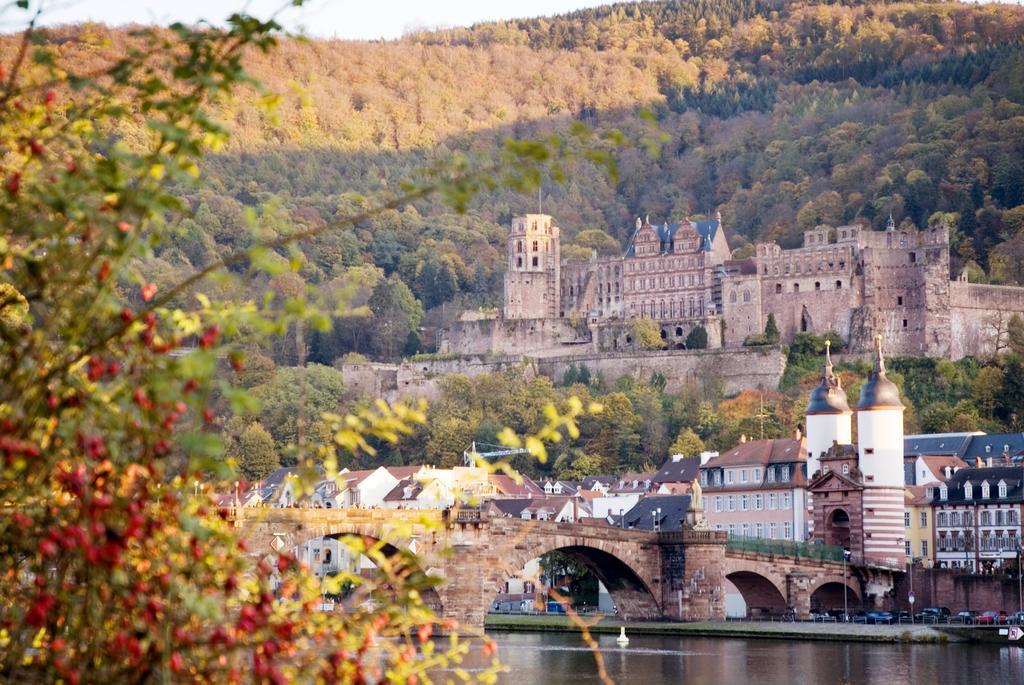 Apartmán Boardinghouse Luise 5 Heidelberg Exteriér fotografie
